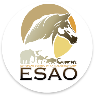 ESAO-ecole-osteopathie-animale